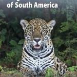 A Field Guide to the Larger Mammals of South America (WILDGuides, 26)