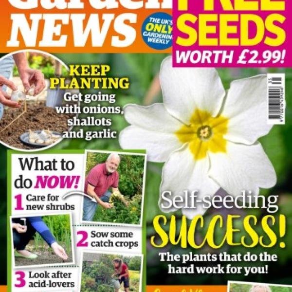 garden news - 31 august 2024 magazine pdf free download