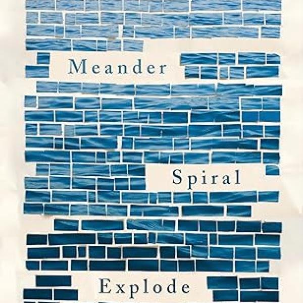 Meander, Spiral, Explode: Design and Pattern in Narrative