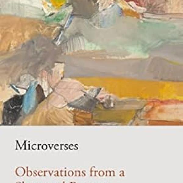 Microverses: Observations from a Shattered Present