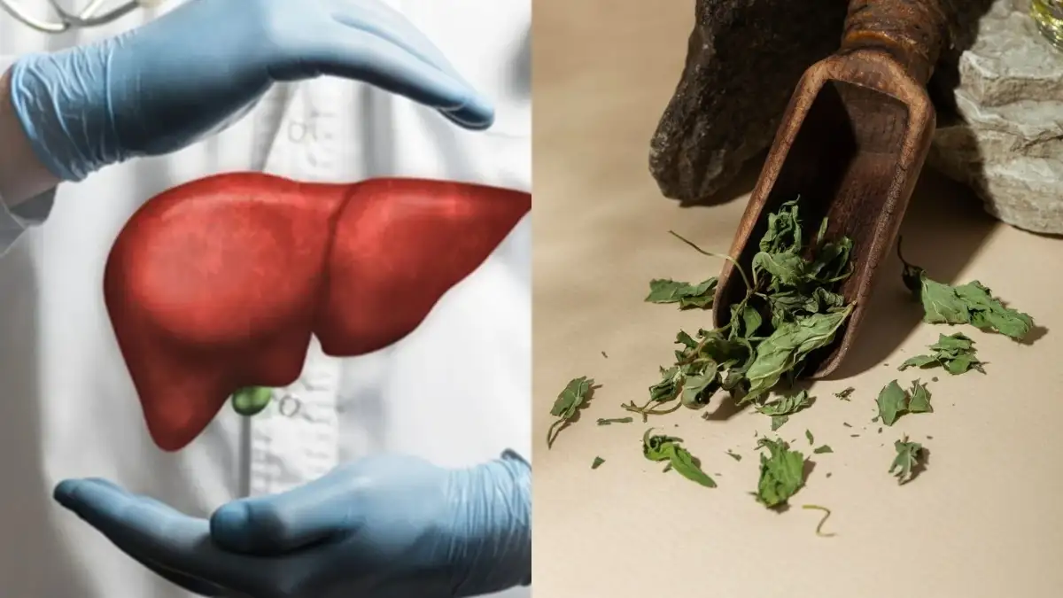 3 Ayurvedic herbs for healthy liver